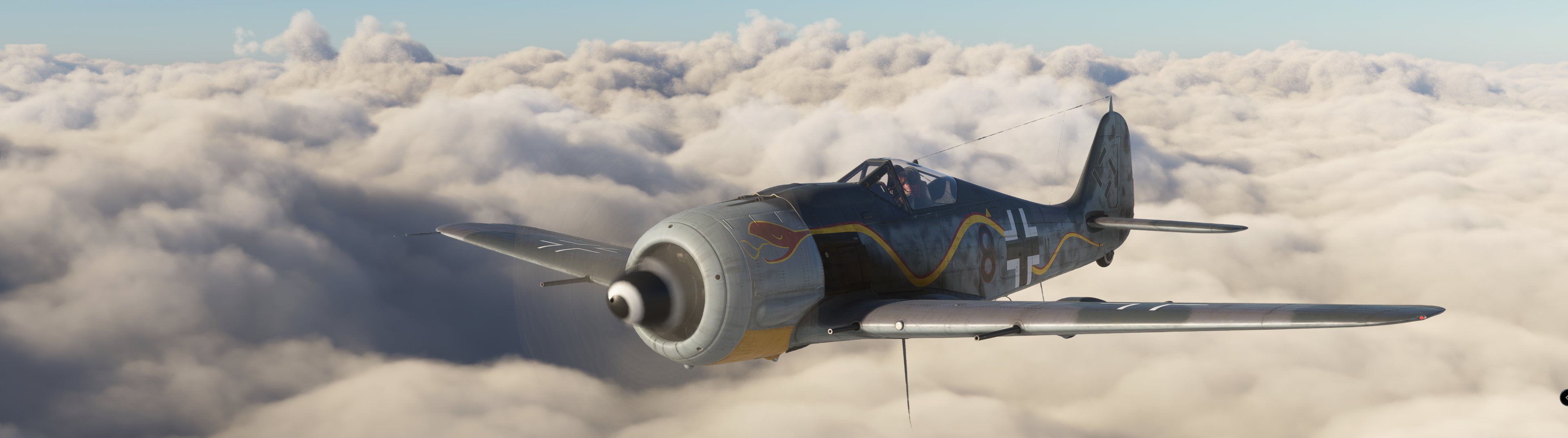 Formació de warbirds a la pista d'herba